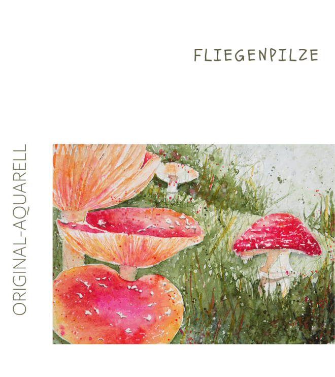 Fliegenpilze, Original-Aquarell
